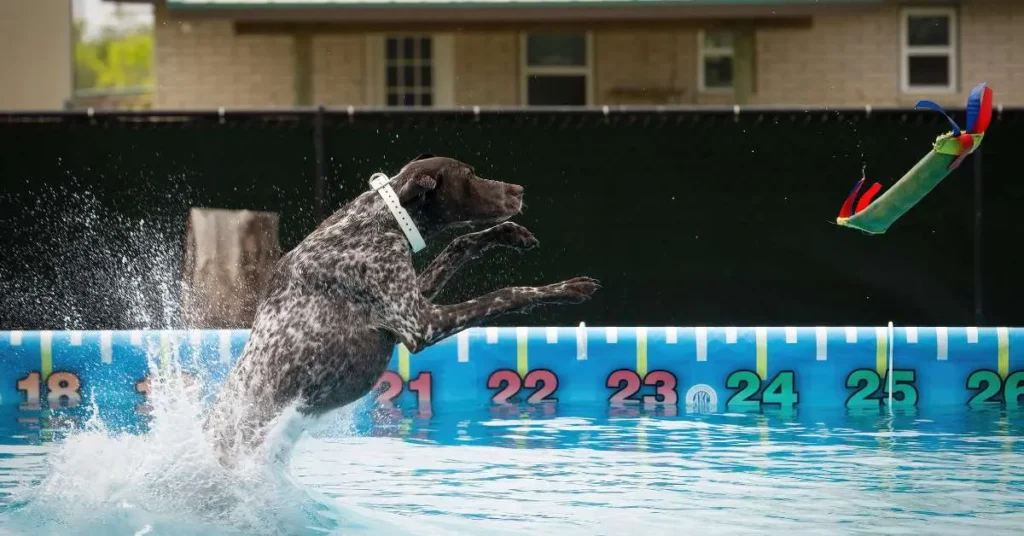 How To Build a Dock Diving Pool