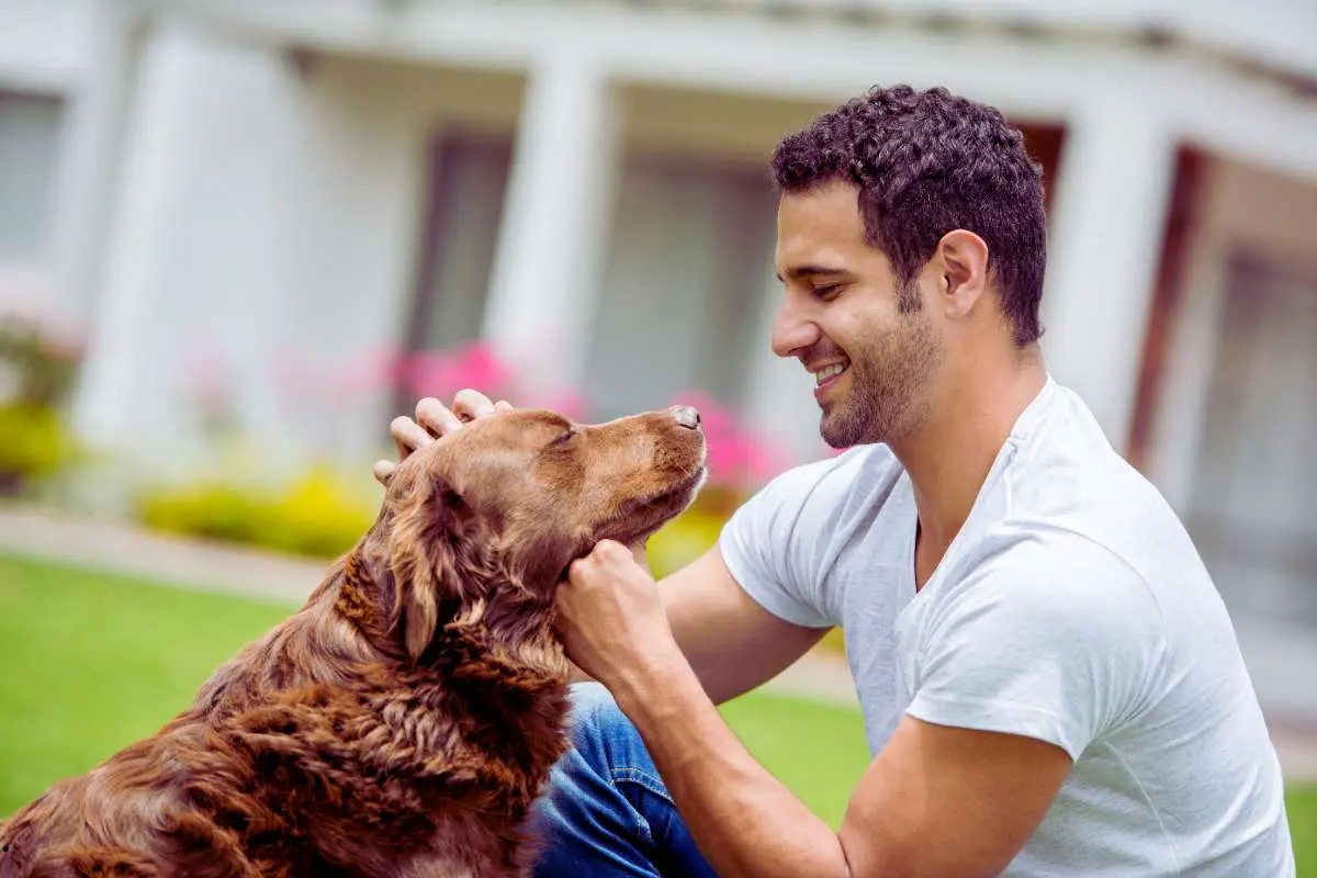 Happy man playing with his adopted dog