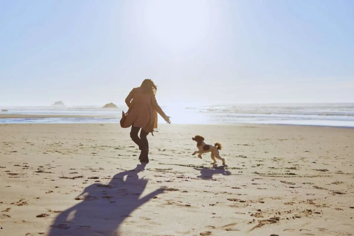 Woman and a Dog Running on Beach 