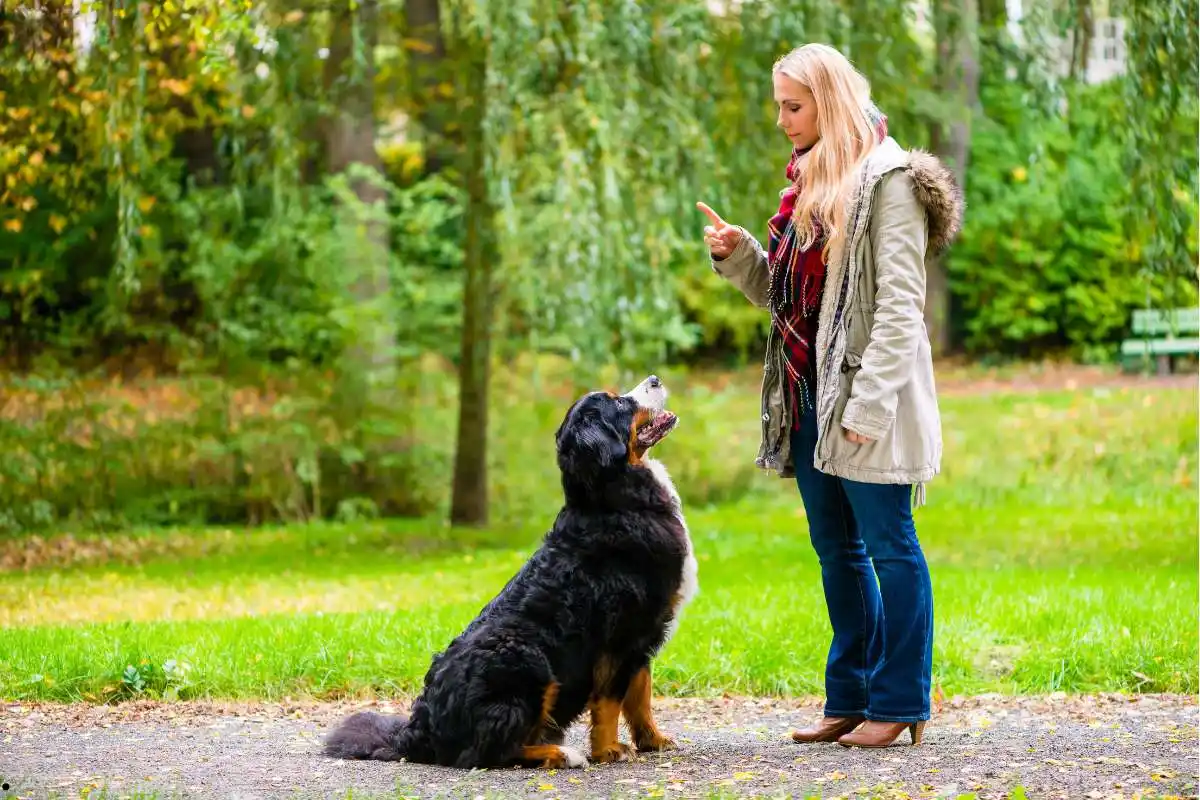 a female trainer training her dog