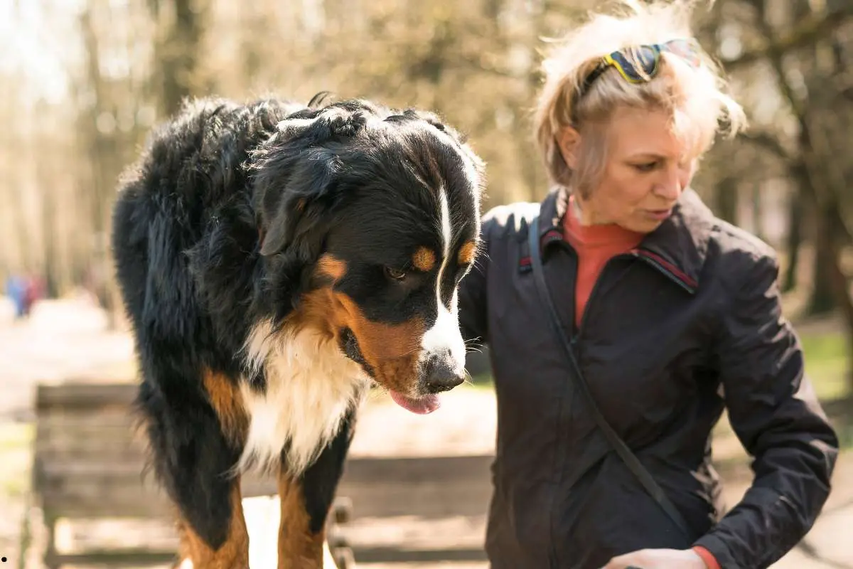 dog with her trainer